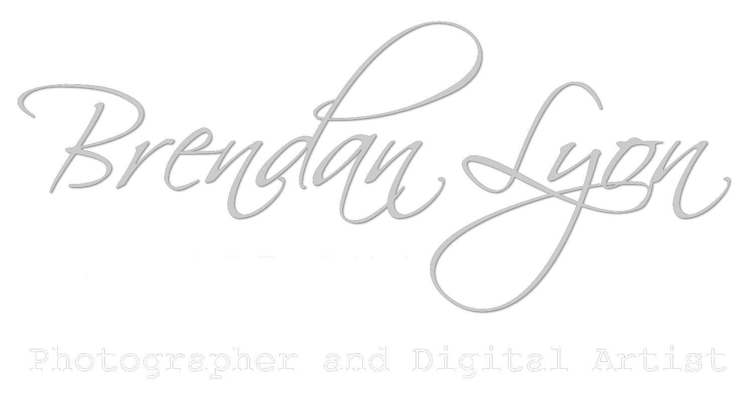 Brendan Lyon  Digital Artist